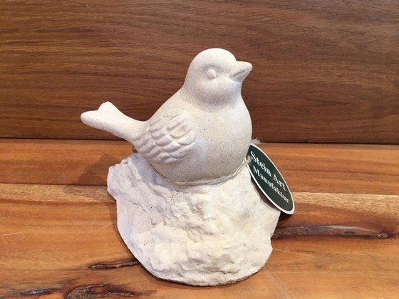Vogel auf Stein